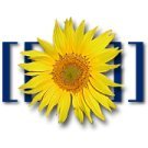 mediawiki auto post